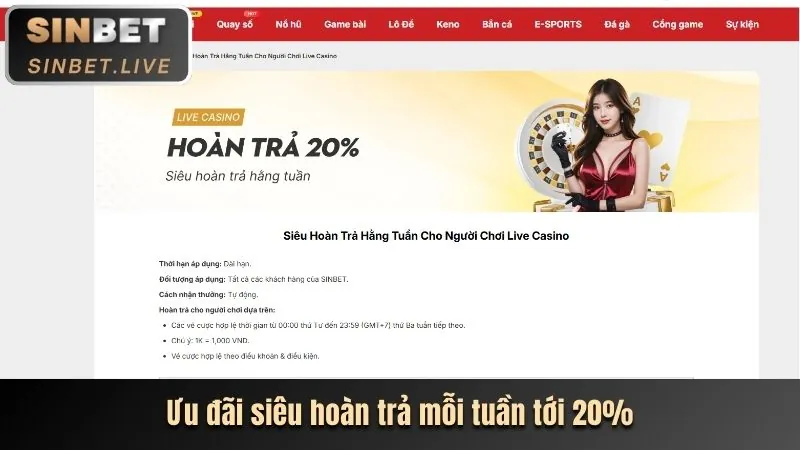 Lợi ích chương trình VIP ok9 code